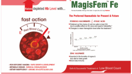 MagisFem Fe