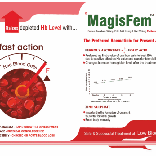 MagisFem Fe