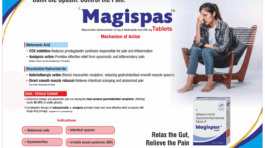 Magispas